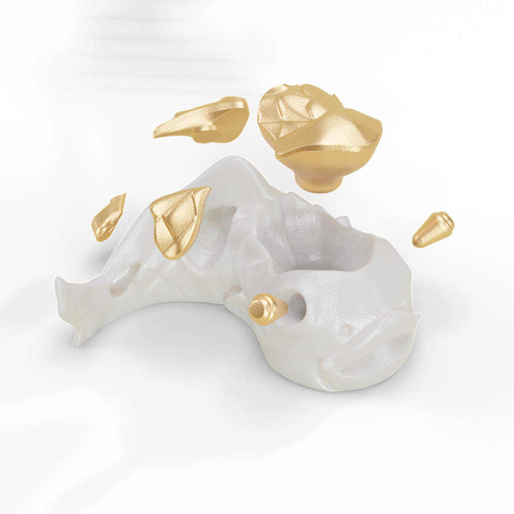 Yin Yang Tai Chi Koi