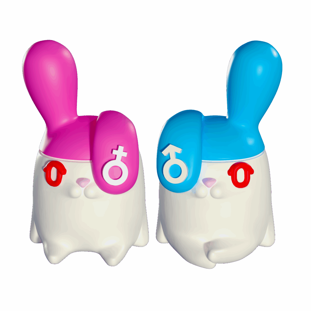 Bunny with a Thousand Faces - In Pair