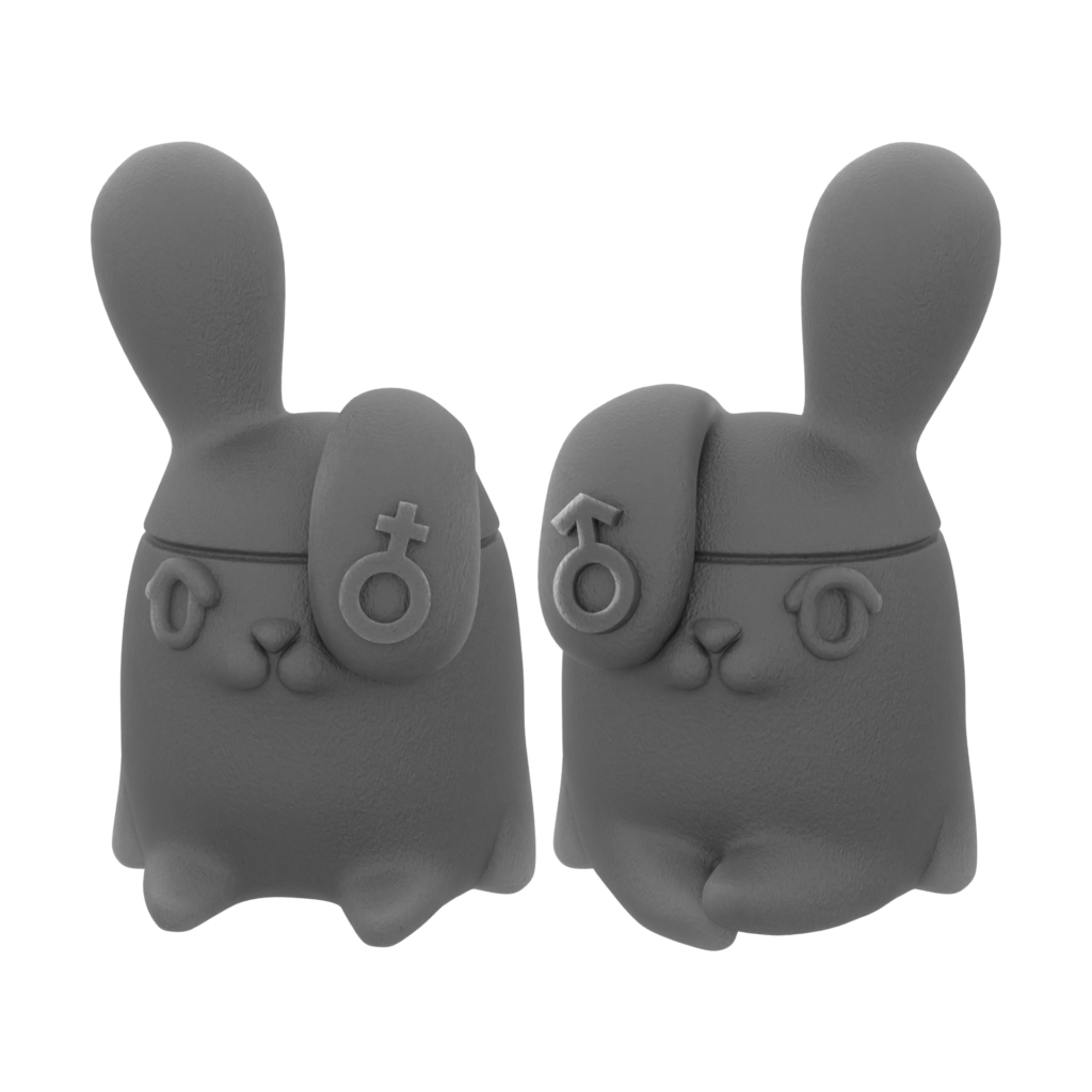 Bunny with a Thousand Faces - In Pair