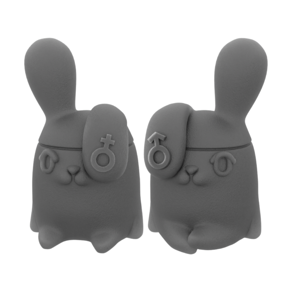Bunny with a Thousand Faces - In Pair