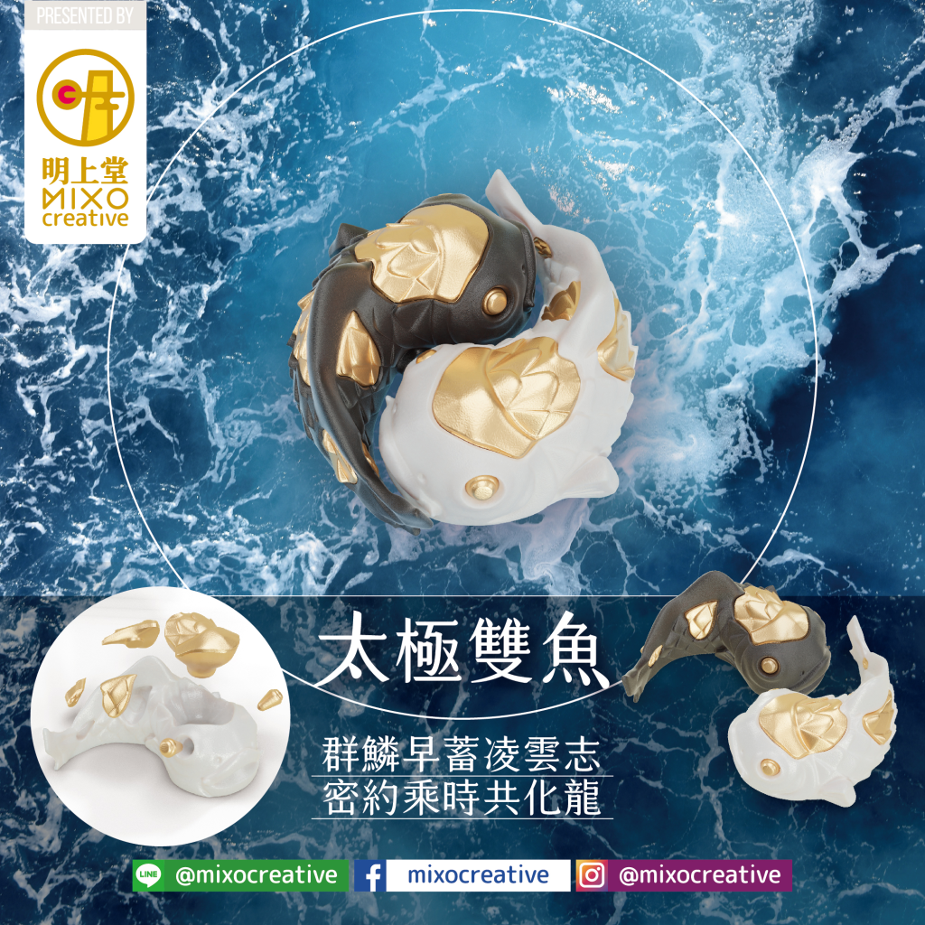 Yin Yang Tai Chi Koi